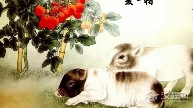 老人都说属猪人出生在这几个年份命最好