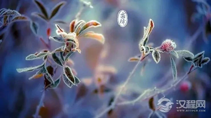 霜降节气，如何旺运养生你可知道？