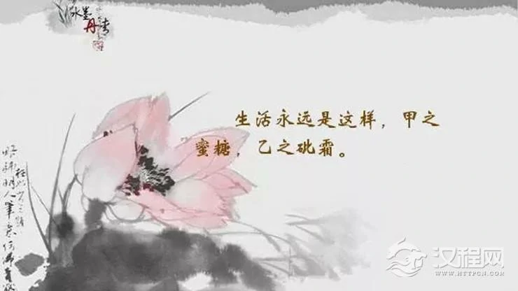 甲之蜜糖，乙之砒霜：适合你的才是最好的