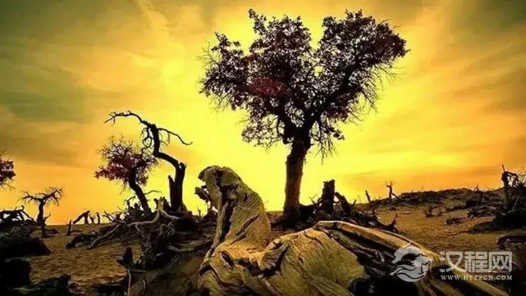 现代人对人生命运有哪些误解