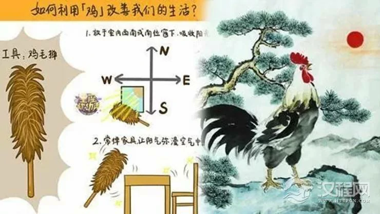 在家中这个位置放一根鸡毛掸子！一秒去除霉运和煞气！