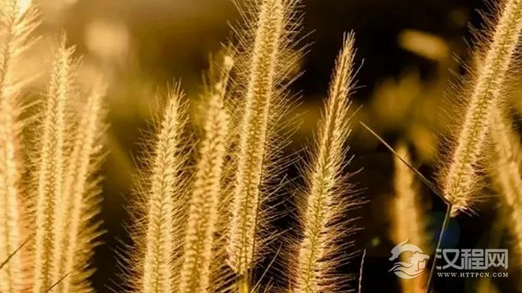 生活出现哪些情况代表着运势的转变？