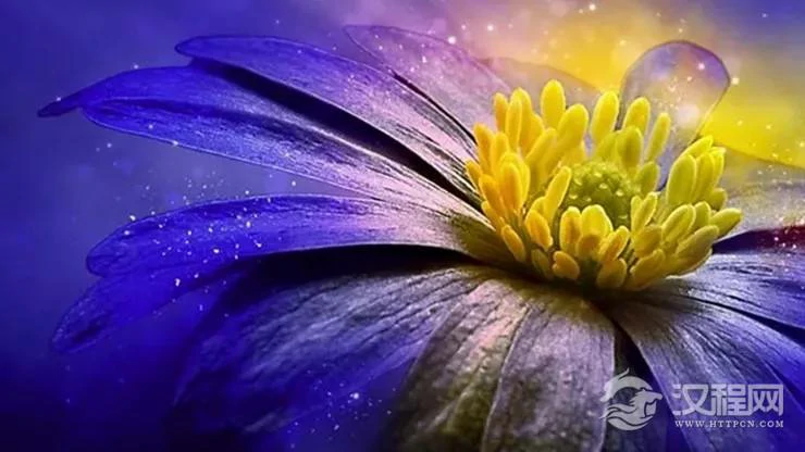 真正的成功和幸福是能接纳和肯定自己，一切顺其自然