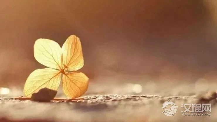 这十条修身改运方法，看懂受益终生！