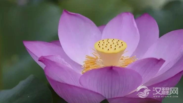 八字先天不好？自有天星化解！