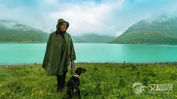 坚持自我，不轻易妥协的生肖