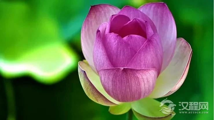 天道无亲 善良人终得善报