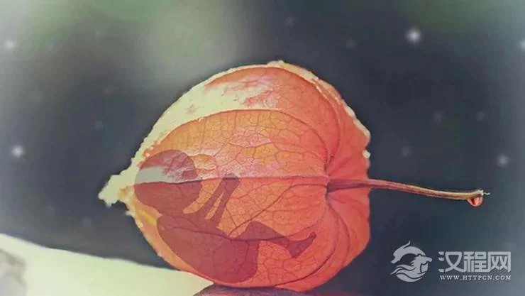 科学不解之谜：堕胎妇女的神秘厄运