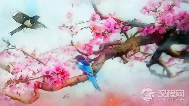 哪些姓名笔划的人，身边烂桃花特别多？