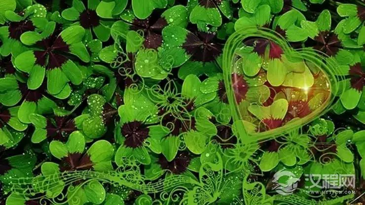 凭感觉选一只小鹿，测你有没有转危为安的好福气