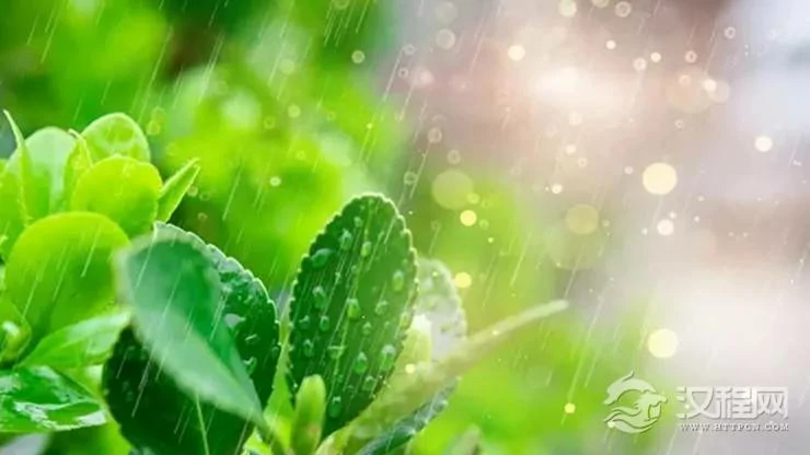 雨水节气之后，哪些生肖要走运了？
