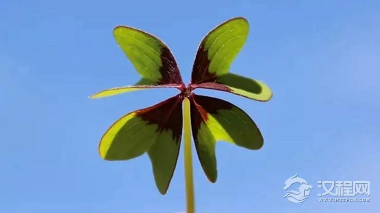 为何有的人一生总能逢凶化吉？原因在此