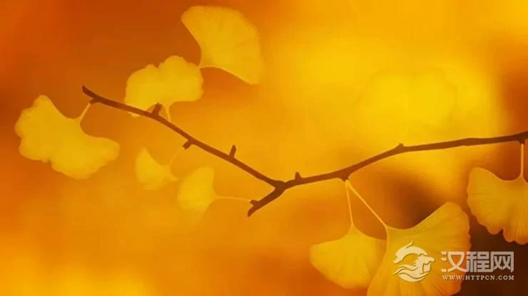 数字预言：你能收获的【金秋财运】有多火？