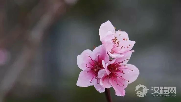 “八专九丑”到底是哪几个日期？