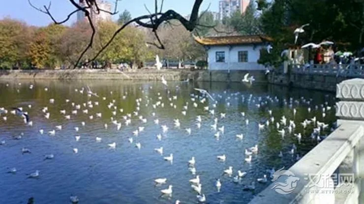 12星座最适合居住的城市