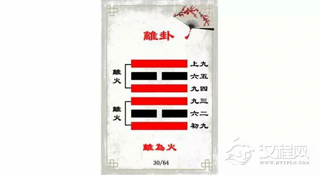 离卦解读