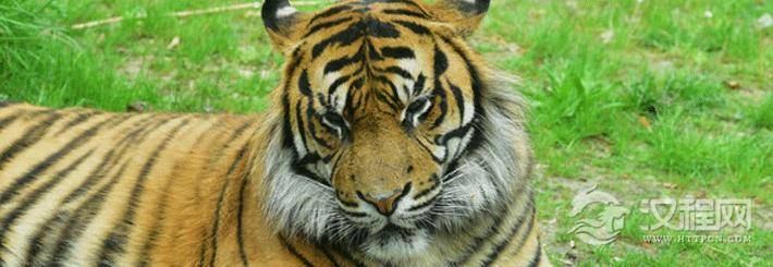 观音摆放位置和注意事项