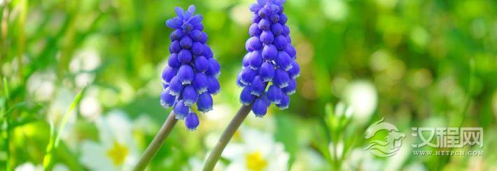 资讯：漏财的风水习惯你知道吗