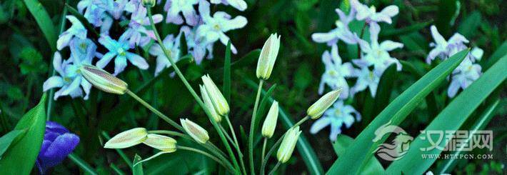 选楼与购房风水知识大全