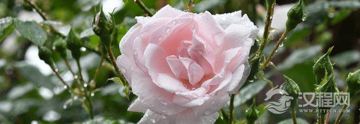 办公室风水你知道多少?