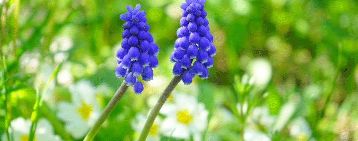 招横财饰品：身上放什么招横财