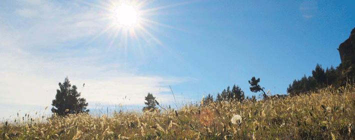 办公桌上摆哪些吉祥物能够旺财