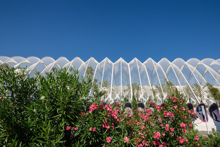 阳台和窗台风水布置提高桃花运