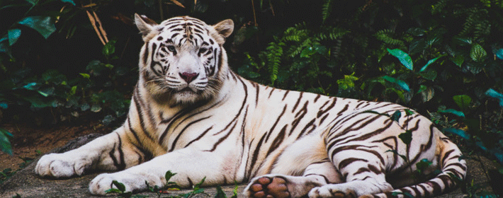 大门对着走廊如何化解