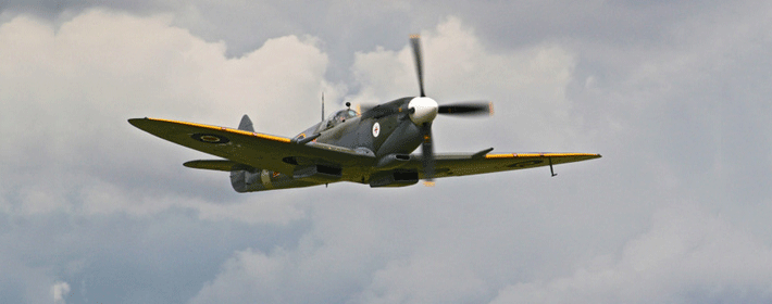 怎么给金蟾蜍开光？