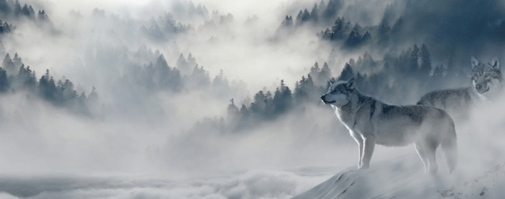 粉水晶招桃花是真的吗？