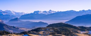 靠山布置好，为你搬来金山银山