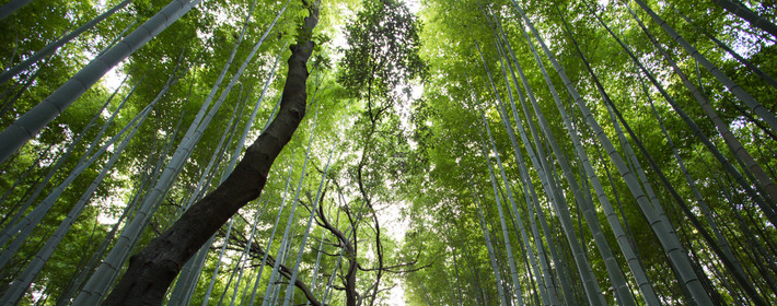 商业风水要注意什么？财源广进