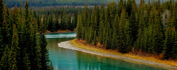 选楼与购房风水知识大全