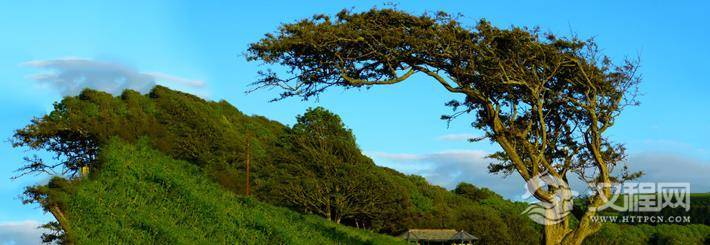 配对，有缘结为夫妻，婚姻幸福