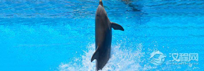 周易百家姓，纪姓宝宝周易起名