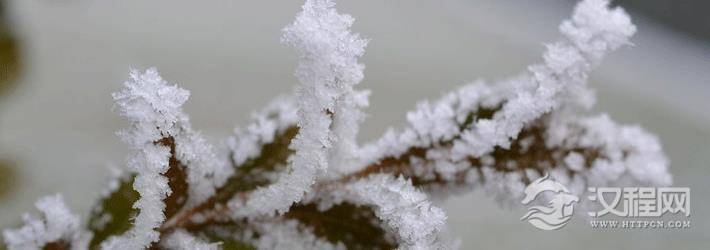 在线八字算命婚姻幸福吗？