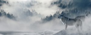 易经八卦史话，神秘的河图洛书