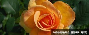 周易藏着的三原则，教我们智慧