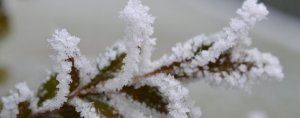 塔罗测试：你另一半如何保护你