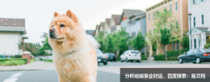 情商高的人，八字特征是什么？
