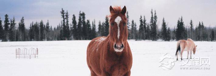 本命年真的不顺怎么办？