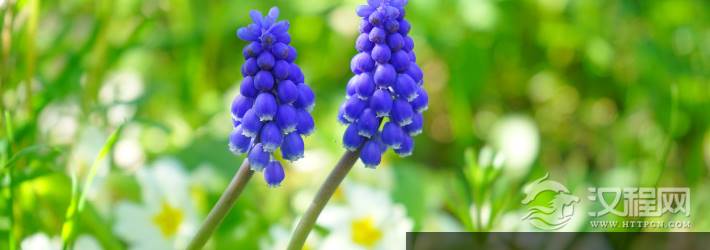 4月3日需谨慎的生肖及调整要点