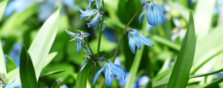 5月5日，需谨慎的生肖及调整点