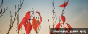 2022年十二生肖属猴人今年多大