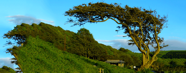康熙字典6画的字有哪些