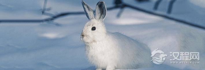 旺夫相有那些特征