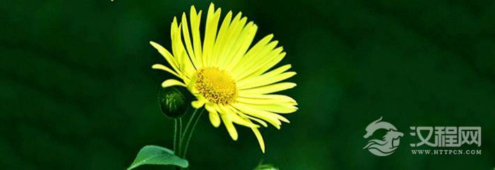 脸上痣图解吉凶分别有哪些?