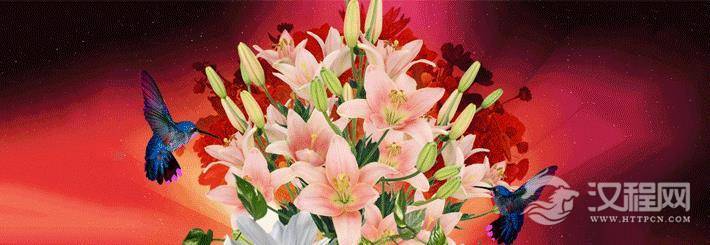 男女有酒窝的人代表什么?