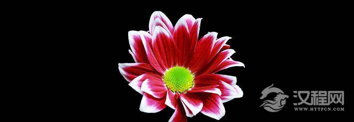 疼老婆的面相特征