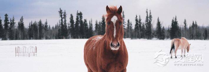 腿上有胎记算命分析